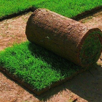 Ландшафт дизайн газон йотказиш  Landshaf gazon yotkazish