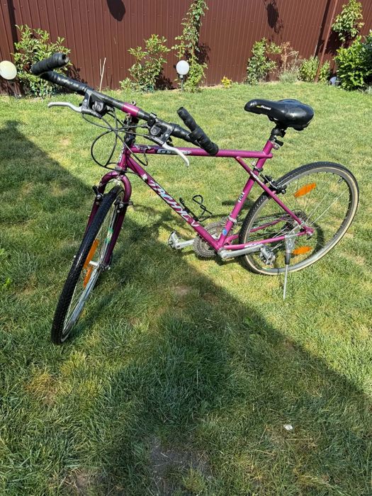 Vând biciclete strada pegas diferite modele