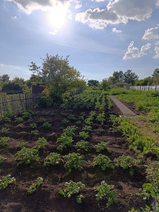 Продам дачу с домиком.
