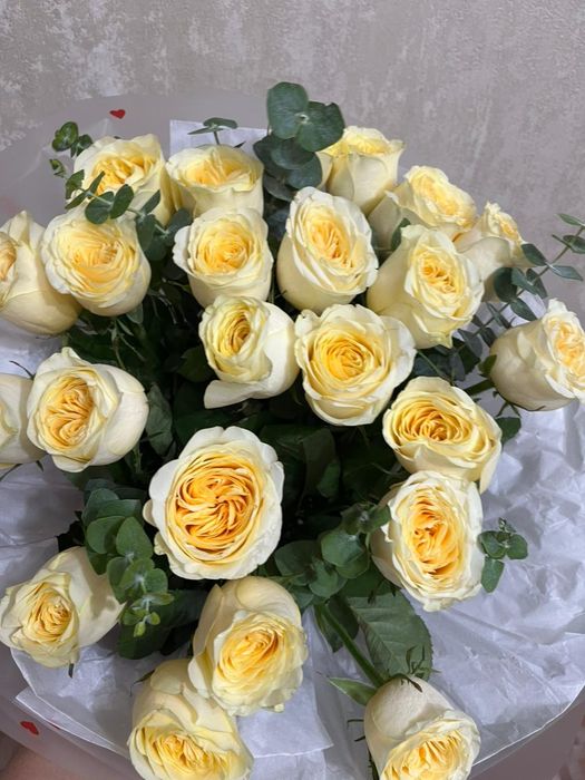 Цветы розы, белые и розовые