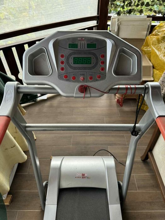 Електрическа пътека