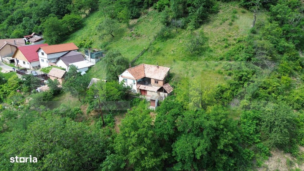 Casa traditionala - o investitie cu potential de dezvoltare, Capalna,