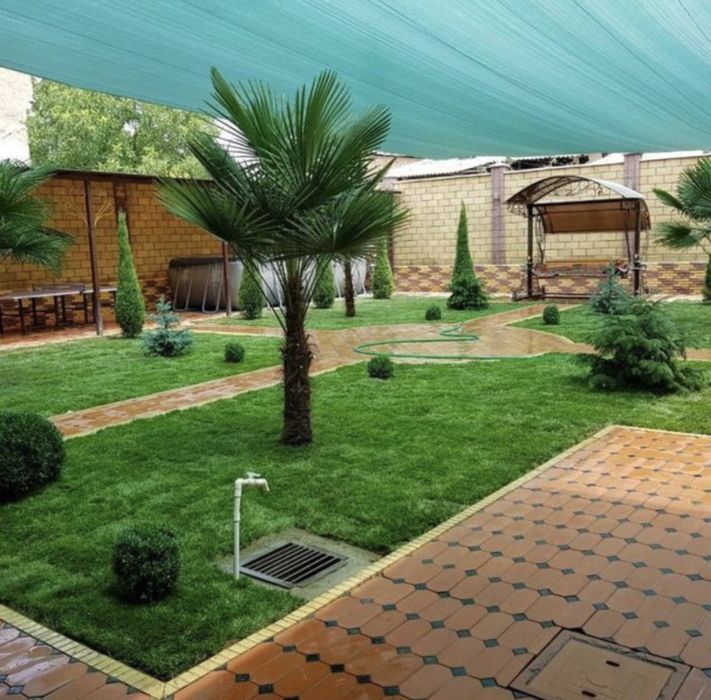 Посев рулонного газона