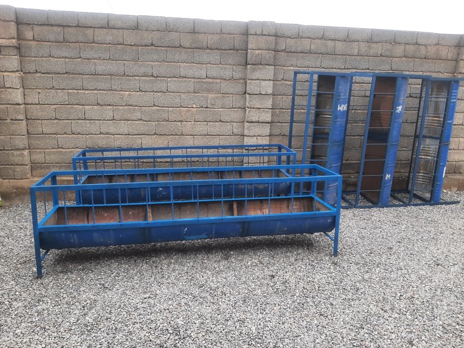 Қойлар. Бараны. Тоқтылар. Саулықтар. Тұсақтар.