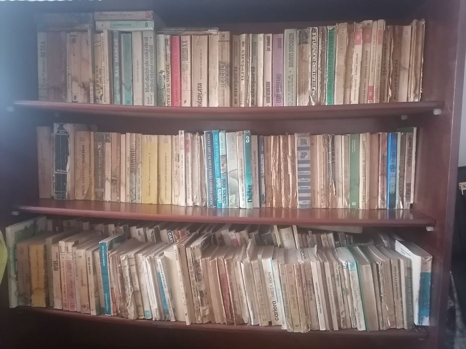 Lot mare de cărți (cca 180 - 200 cărți) - 500 lei