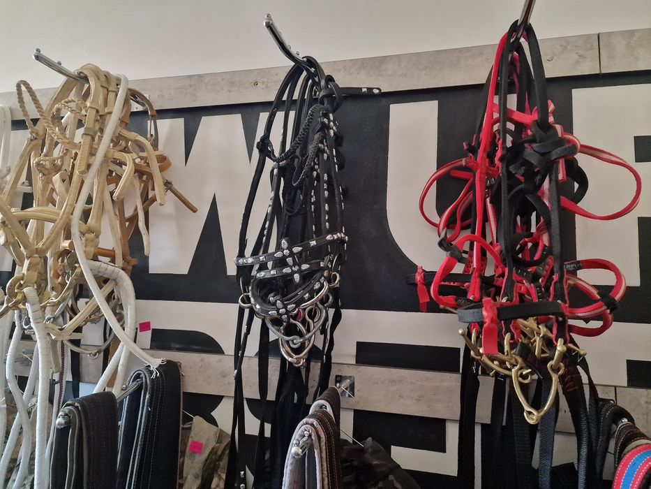 Седло в ташкент есть всё асортимент для лошада