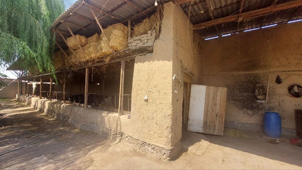 Ferma sotiladi 18.5 sotix. Mol boqishga mo'ljallangan. Gaz svet bor.