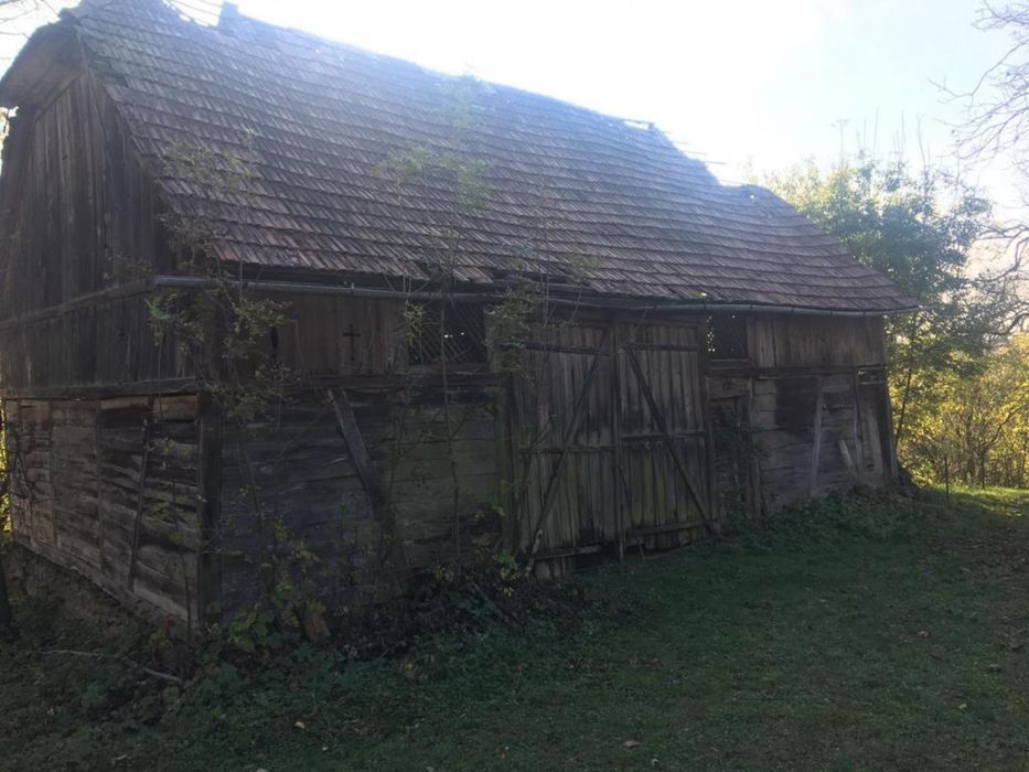 Sură veche - grinzi stejar