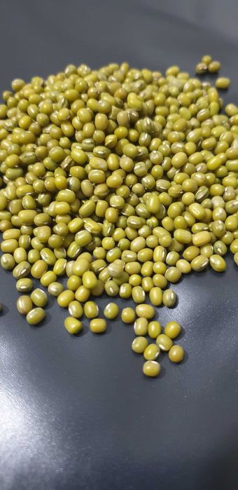 МАШ высшего сорта