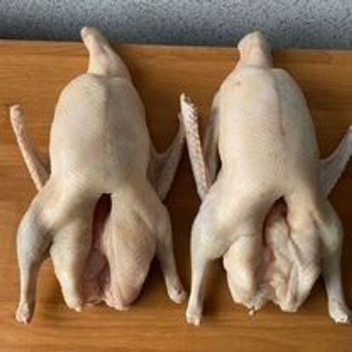 Гуси тушки продам