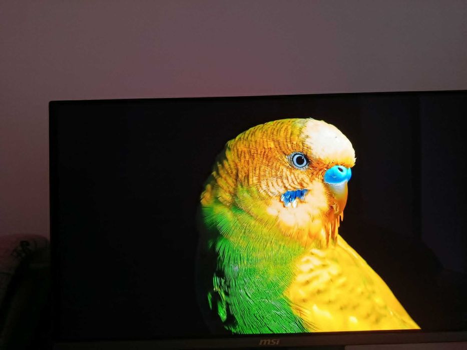 Монитор MSI 272QP X50 500hz