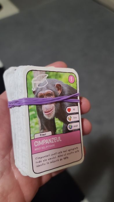 Boxa Expeditie in jurul lumii 2 de la Mega Image