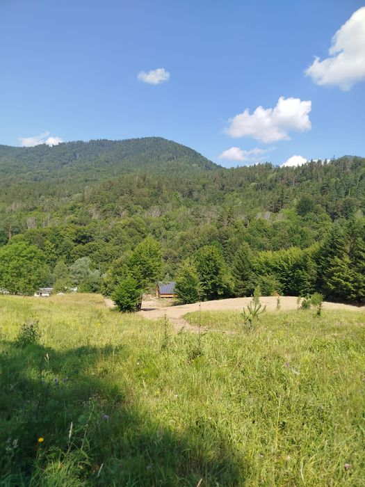 Vand Casa si Teren Sat Vadu Oii, Gura Teghii