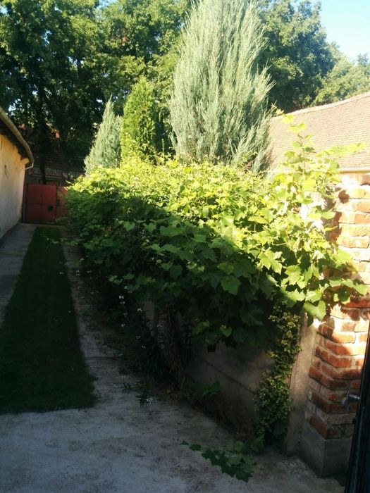 Casa – Zona Centrală (Tudor Vladimirescu)