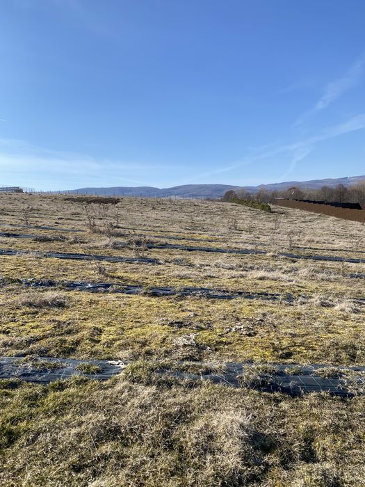 Teren extravilan de vanzare