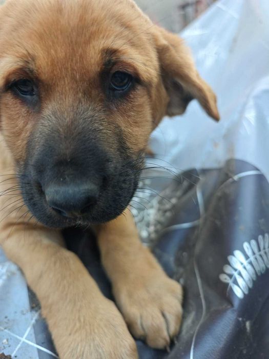 Пристраиваются две девочки