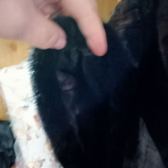 Продам шубку 130000