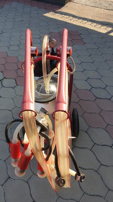 Доильный аппарат