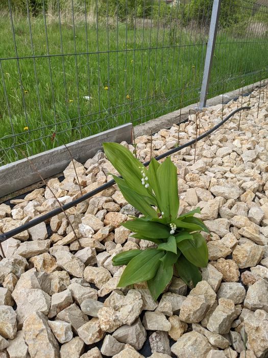 Nisip balastru amestec beton