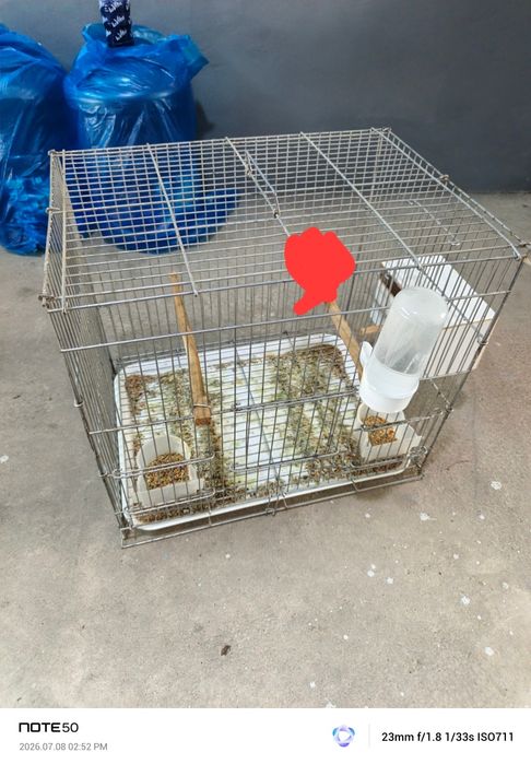 Kletkala sotiladi xolati yaxshi rancho narxi 100 minsoʻm dan donasi