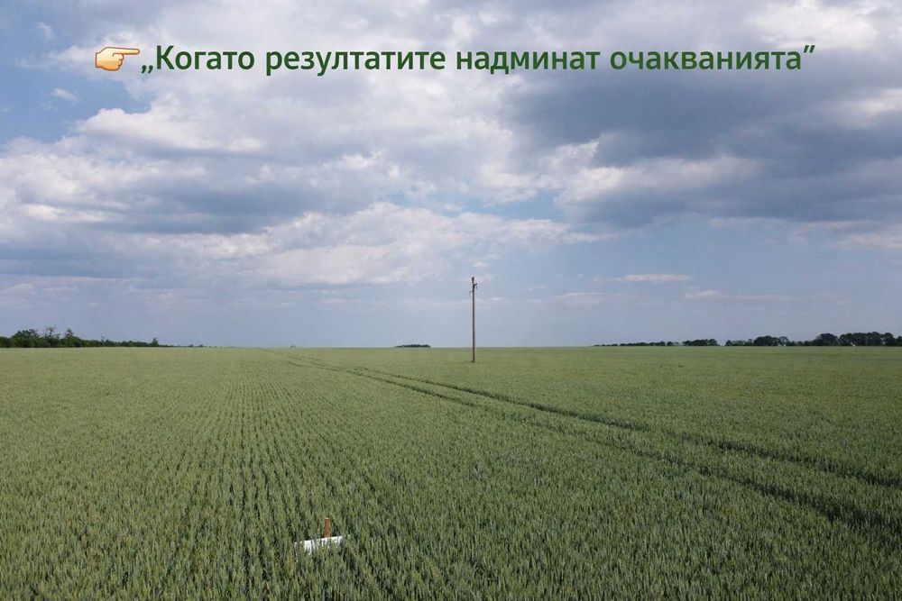 Органичен гранулиран тор с микроорганизми – за всички ваши култури