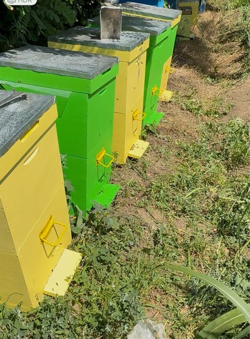 Cutii stupi 10 rame verticali cat 1/1