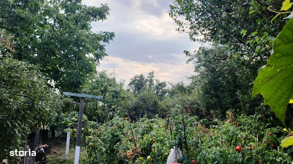 Locuinţă cu 2 corpuri- Mărăcineni, Strada Principală (Grădi Gărgăriţa)