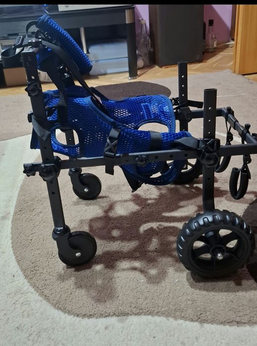 Инвалидна количка за кучета