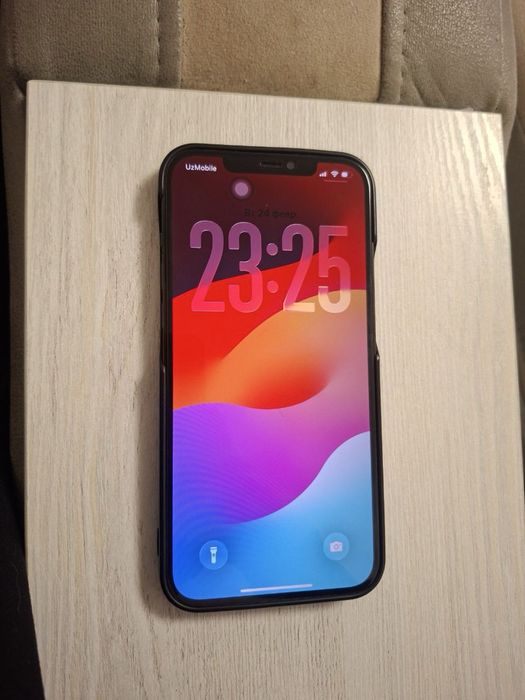 iPhone 12 pro max
