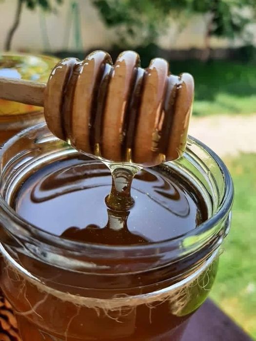 Miere de albine Salcâm & Poliflora