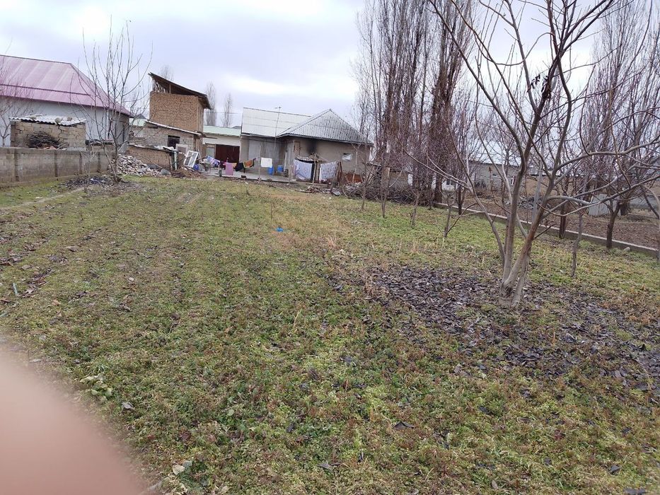 Yangiyoʻl tumanida joylashgan ezoz kfesi yonida zarilga sotilayabdi