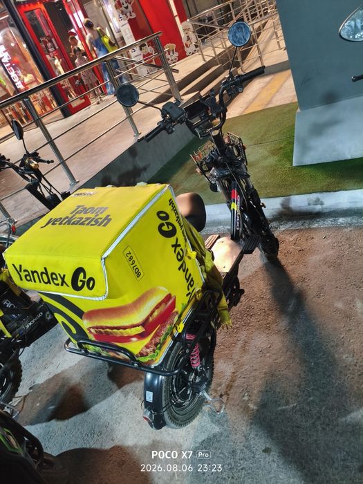 Drongo moster - сотилади