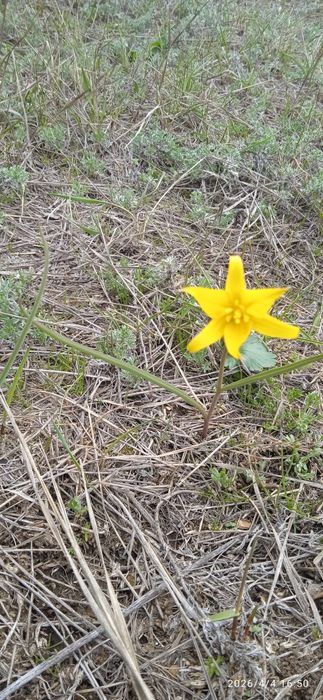 Продам дачу Строитель 2