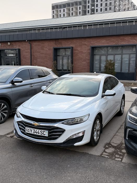 Malibu 2 premier toza 2022 full