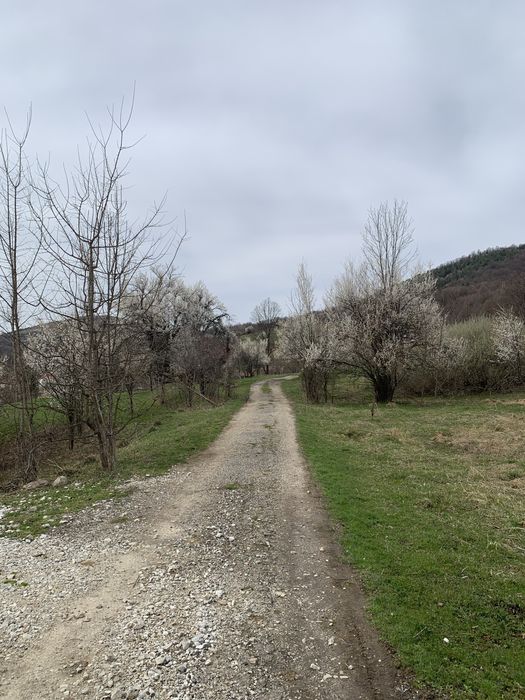 Продава се Парцел в с. Ямна, Област София-област - 828 кв.м за 14 €/кв.м - Снимка #6