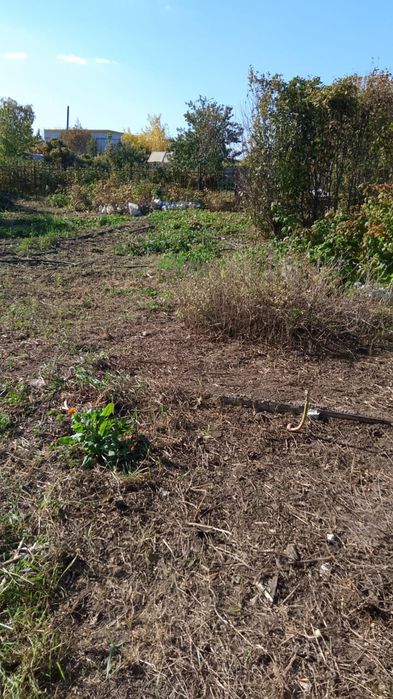 Продам дачу ООСЛ притобольский