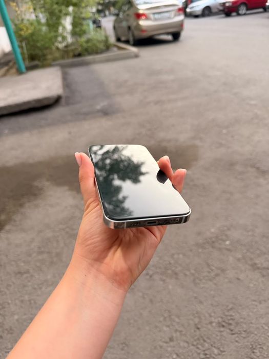 Apple IPhone 13 pro