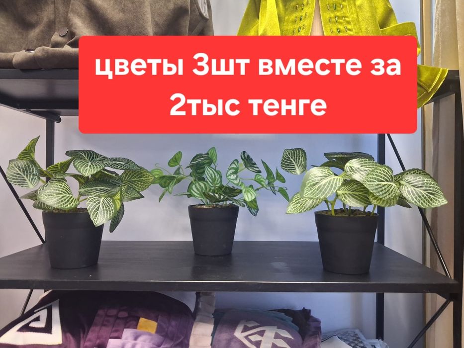 Срочно продам смотрите фото