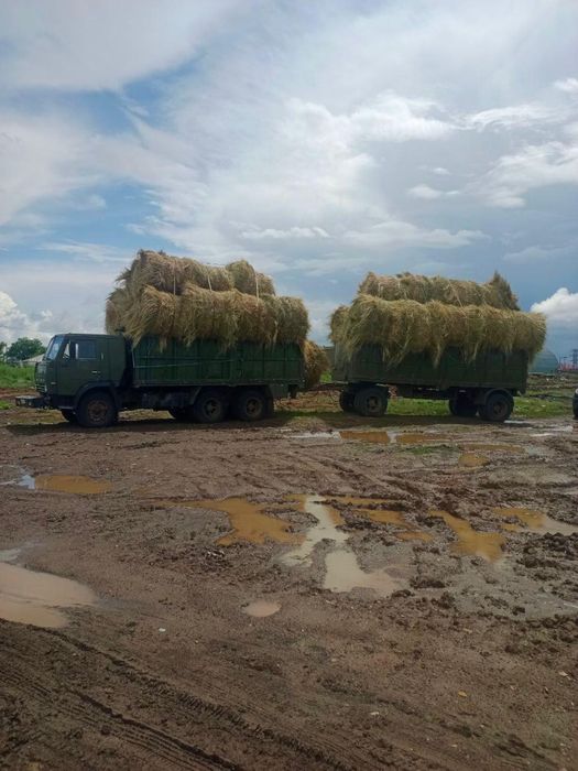 Продам камаз 5320