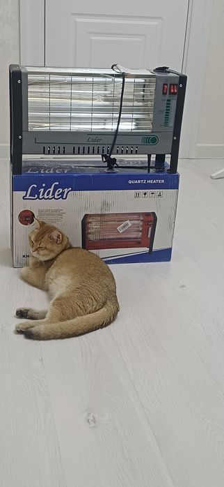 Электор печка  янги