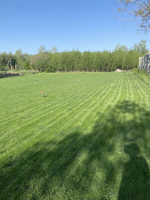 рулон газон ва газон экиш хизмати Самарканд