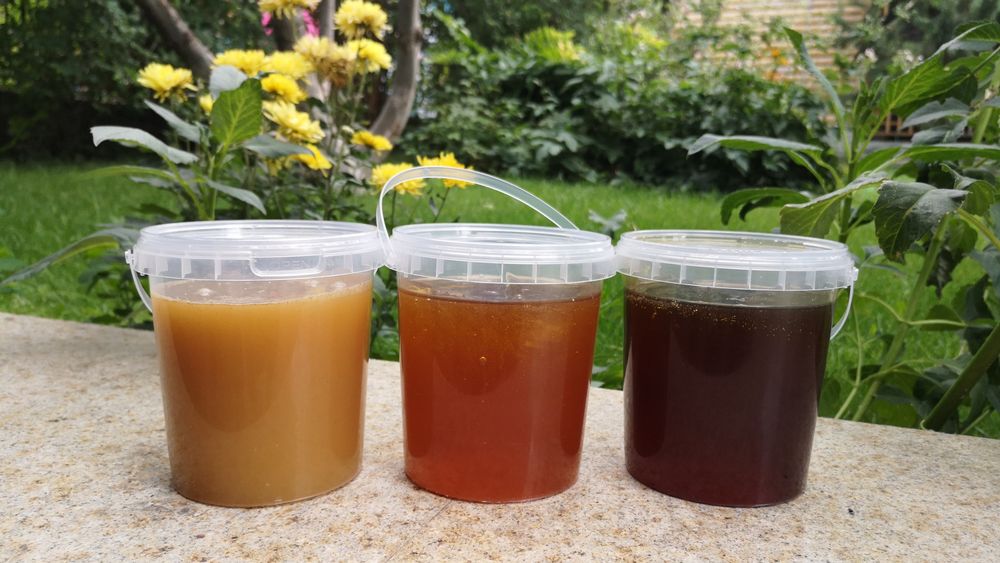 Мед из ВКО в ассортименте