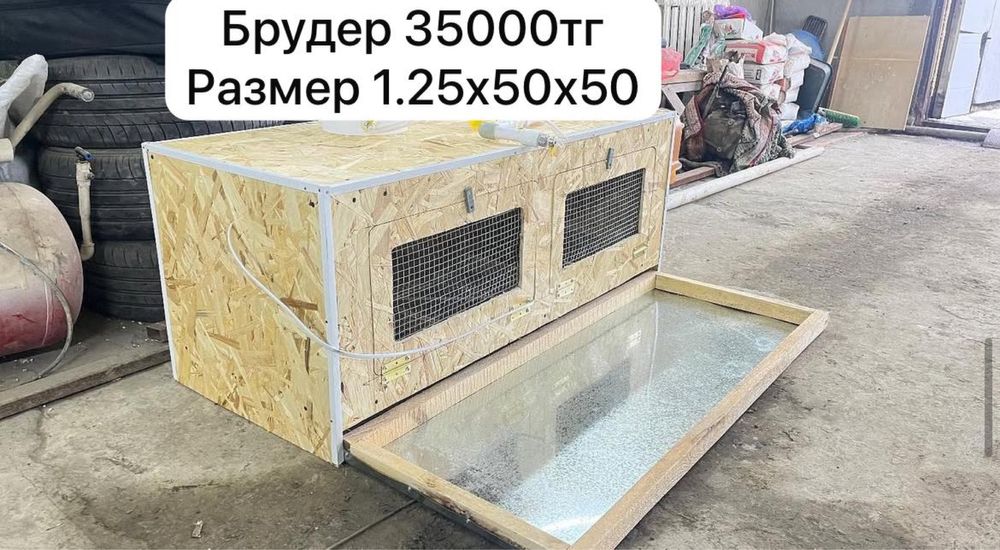 Поилка кармушка Атырау