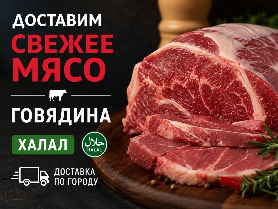 Доставим свежее мясо говядина