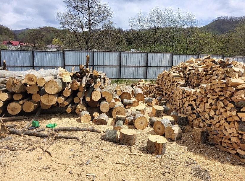 Lemne de foc esenta tare