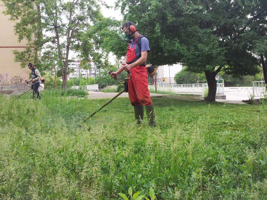Косене на трева и поддръжка на дворове в София – бързо и качествено