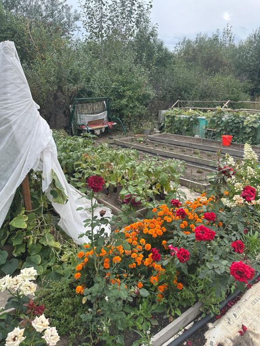 Продам дачу в СО Садовод