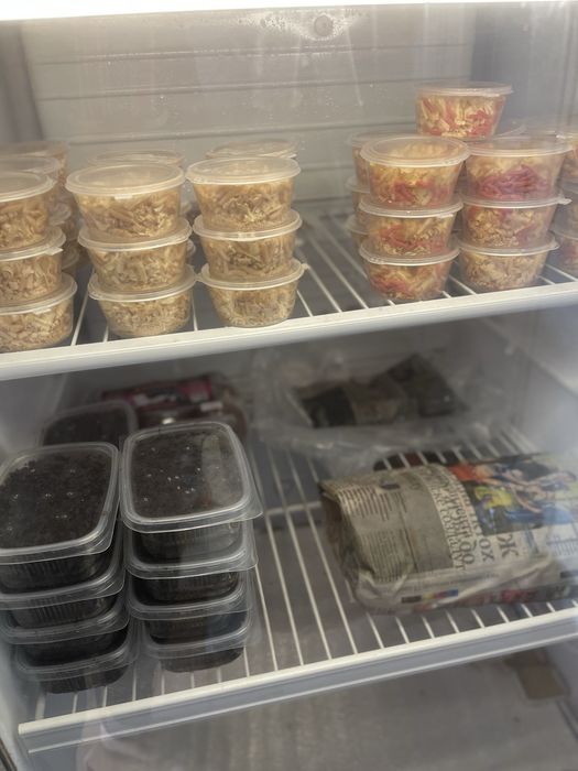 Живец наживки живцы