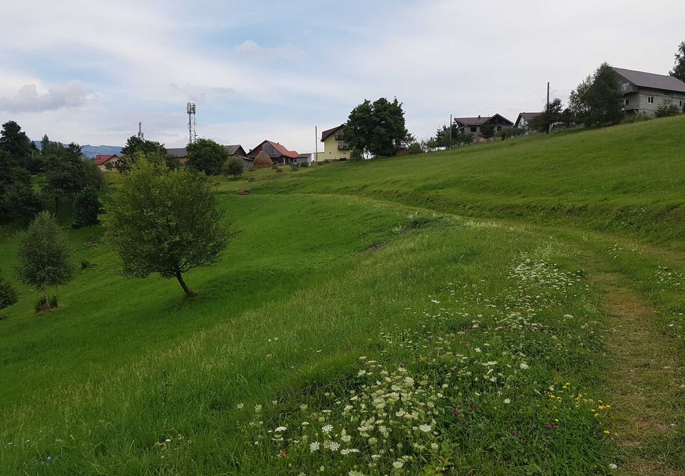 Teren Drumul Carului 3.8 ha