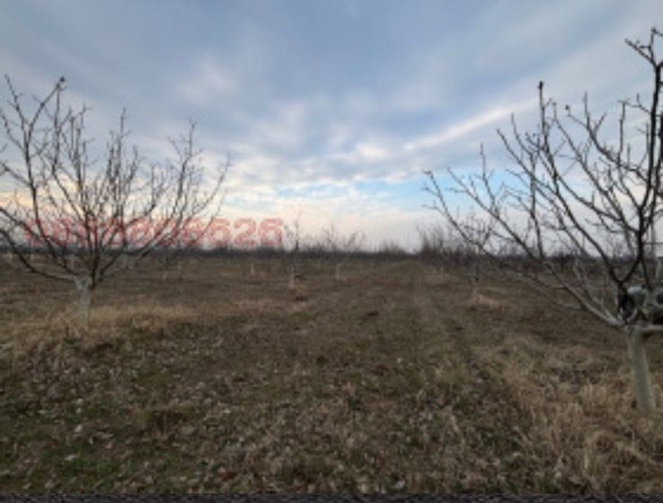 Продава се Земеделски имот в Перущица -  кв.м за 4857 €/дка - Снимка #3